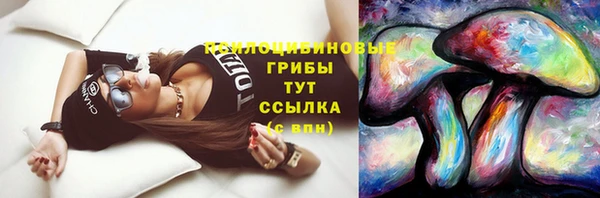 молекула духа Армянск