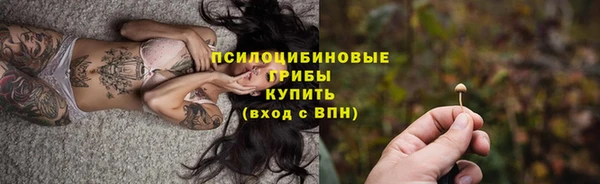 амф Арсеньев