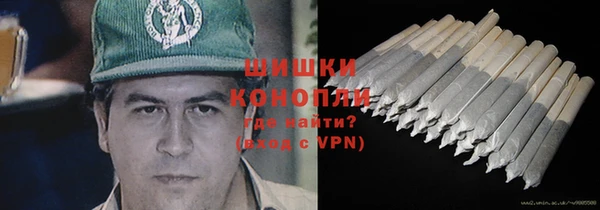 гидра Аркадак
