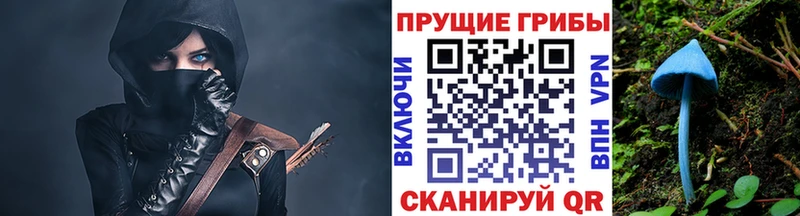 kraken сайт  Тейково  Псилоцибиновые грибы GOLDEN TEACHER 